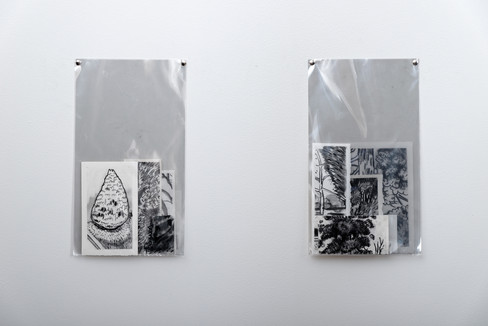 © Aurélien Mole