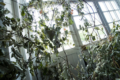 « Exposition Les trois lointains - Dominique Ghesquière - © Jorge Alvarez »