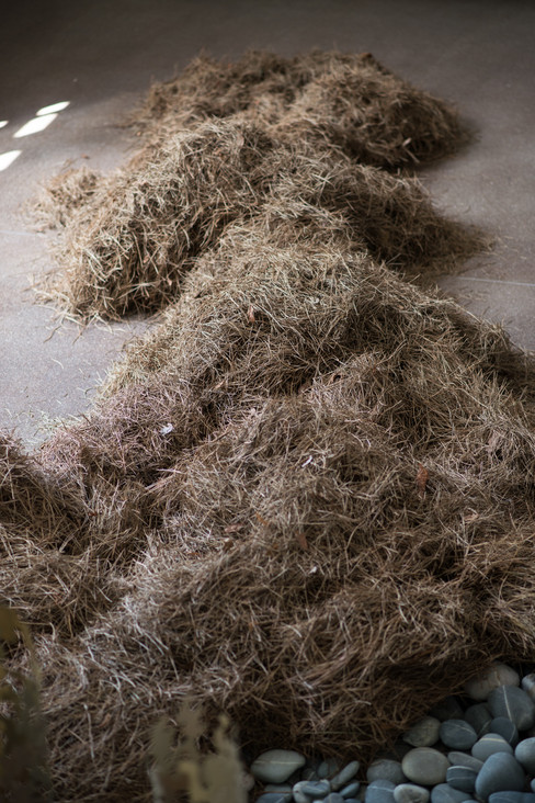« Exposition Les trois lointains - Dominique Ghesquière - © Jorge Alvarez »