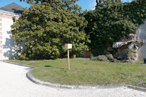 (c) Aurélien Mole