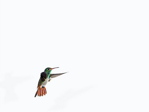 Sanna Kannisto, Série Act of flying, 2006