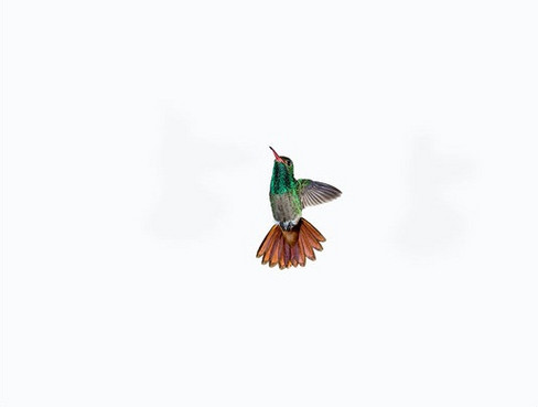 Sanna Kannisto, Série Act of flying, 2006