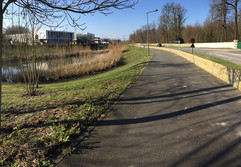Le Crapauduc le long de la RD218 – Bassin du Gué Langlois à Gauche et  Parc de Rentilly à droite.